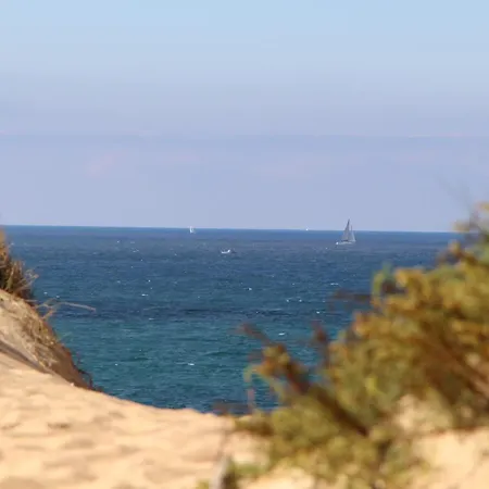 La Clé Des Chênes Villa Labenne